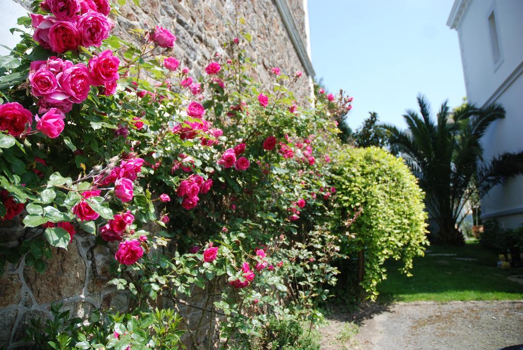 L'Hôtel Particulier Ascott Saint-Malo Extérieur photo